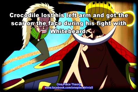 why does crocodile want to kill whitebeard|The reason why Crocodile wanted to kill Whitebeard .